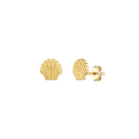 14K Mini Seashell Stud Earrings