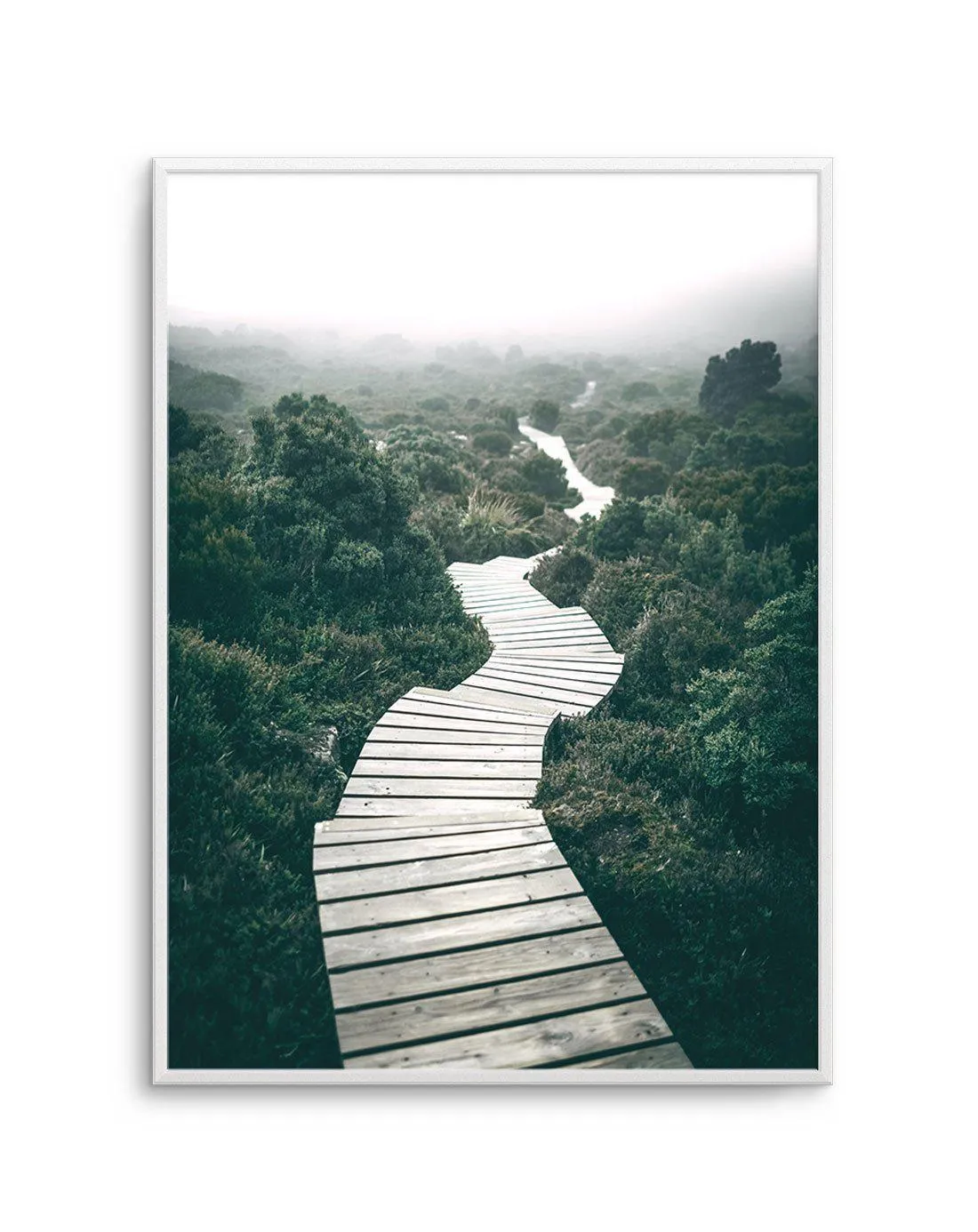 Along The Tracks | Tasmania Art Print