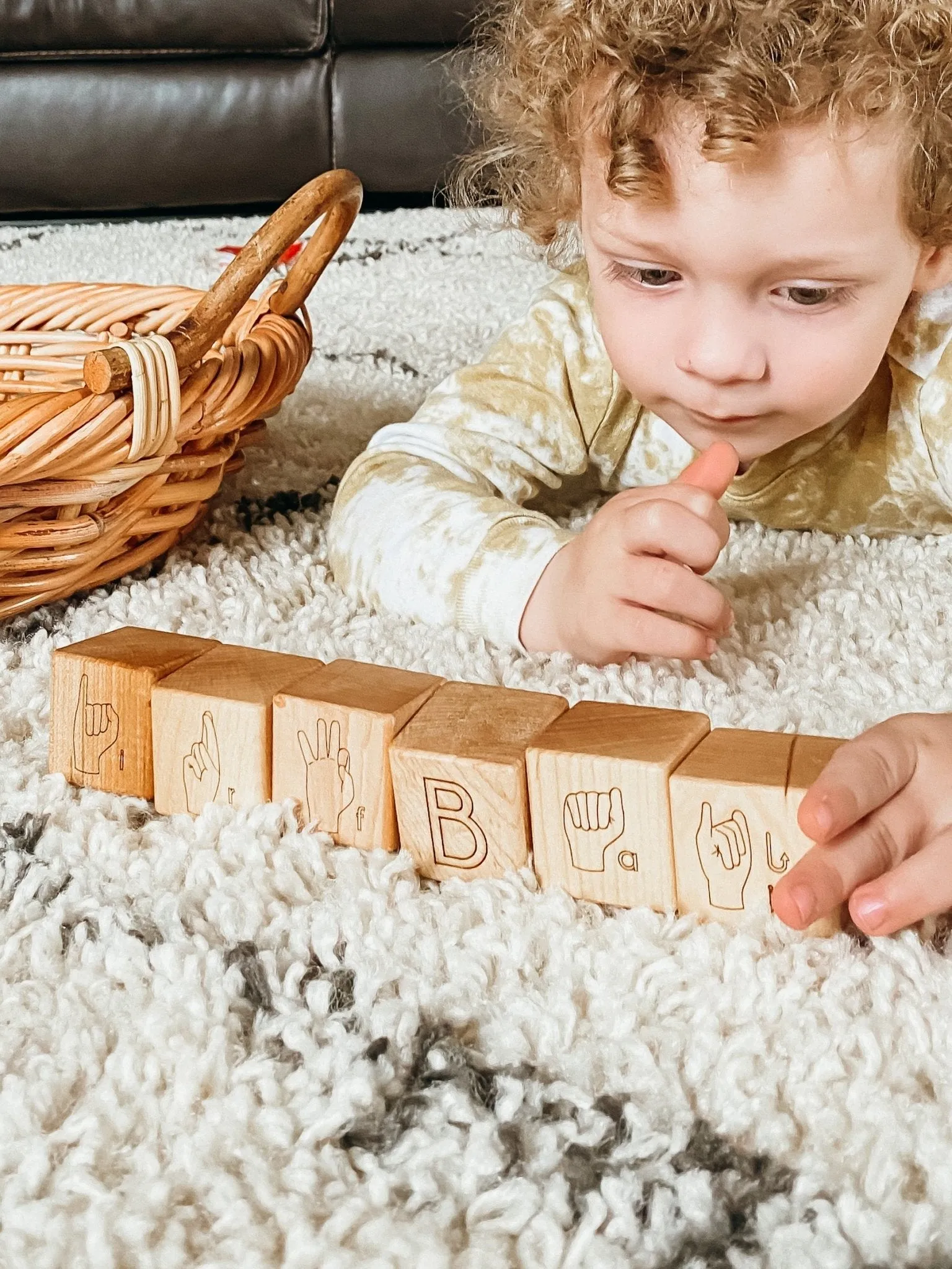 American Sign Language ABC Blocks