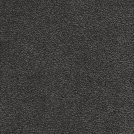 Brentwood Charcoal Leather Swatch