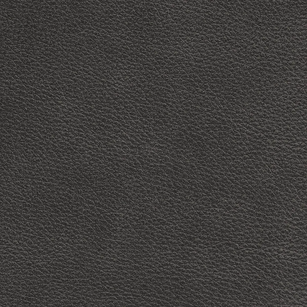 Brentwood Charcoal Leather Swatch