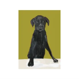 Bruce Dinky Everyday Greeting Card