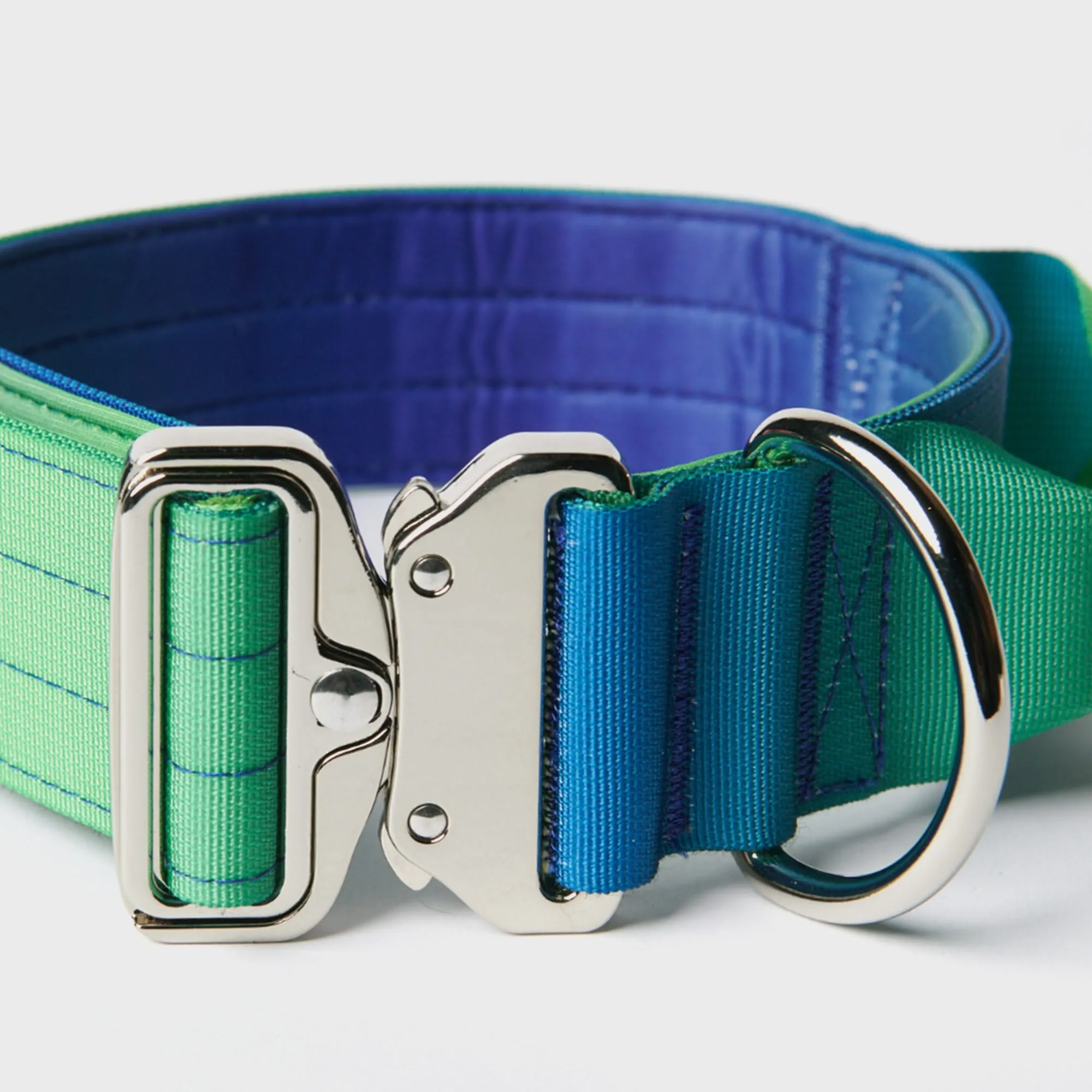 Comfort Control Collar Set - Lime Wave