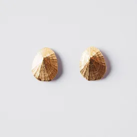 Favourite limpet - stud earrings - silver 925 - gold plated