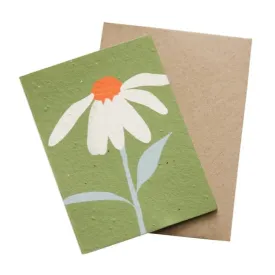 Hello Petal Plantable Greeting Card - Hey Flower