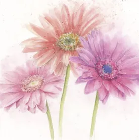 "Gerbera" Greeting Card