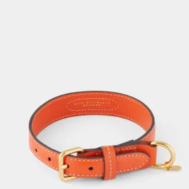 Small Dog Collar